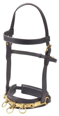 Camelot Leather Lunge Caveson