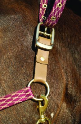 Centaur Replacement Break Away Halter Fuse Best Price