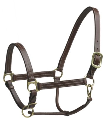 Camelot Stable Suckling Halter