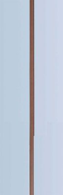 Rodrigo Plain Reins