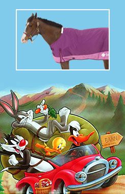 Looney Tunes Pink Tweety Turnout Horse Blanket