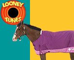 Looney Tunes Pink Tweety Turnout Horse Blanket
