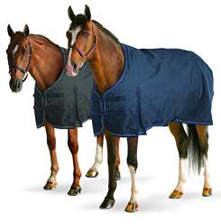 Pessoa Nano Stable Sheet without 
