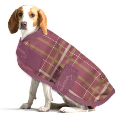 Pessoa Dog Blanket