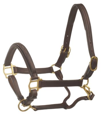 Ovation Wide Square Raised Padded Halter