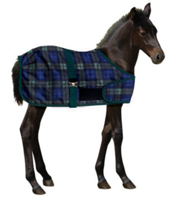 Centaur 200g Foal Turnout Blanket Best Price