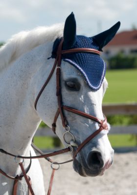 Rodrigo Jumper Bridle with Rubber Reins