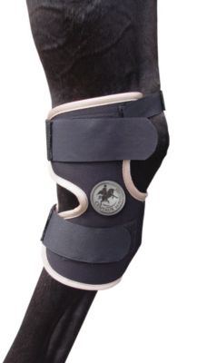 Centaur Magnetic Hock Wraps Best Price