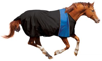 Ovation Athletic Stretch Horse Blanket