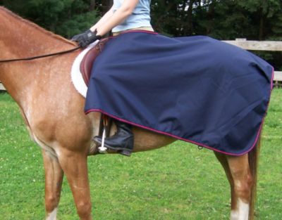 Centaur Waterproof Exercise Sheet