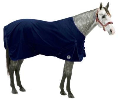 Centaur 1200D Medium Light Turnout Horse Blanket
