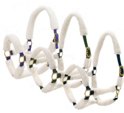 Centaur Nylon Break Away Shipping Halter