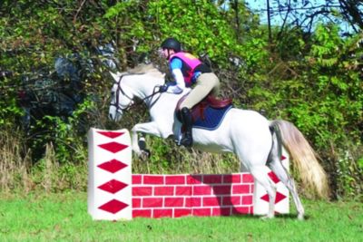 Equi-Essentials Jumpstack Bale Covers Best Price