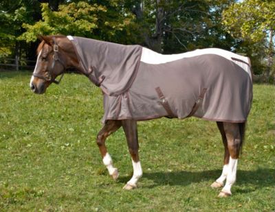 Centaur Got Flies? Wicked Neck Cover Best Price