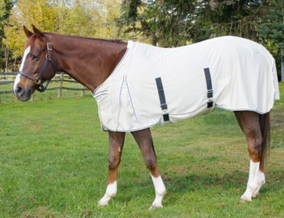 Centaur Got Flies? Creamed Fly Sheet with Belly Guard Best Price