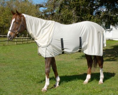 Got Flies? Creamed Neck Cover