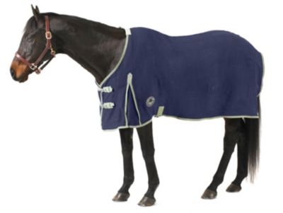 Centaur Wickster Anti Sweat Sheet Best Price