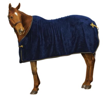 Centaur Super Plush Sheet Best Price