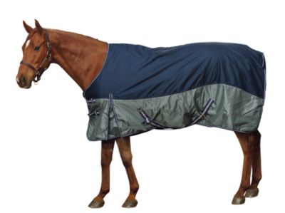 Centaur ThermaDry Medium Weight Horse Turnout Blanket Best Price