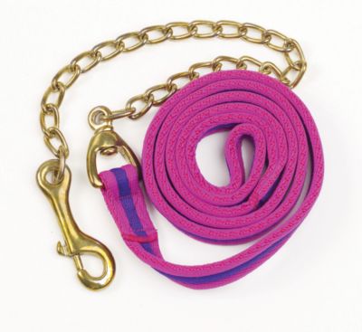 Aerborn Cushion Web Leadline with Chain Best Price