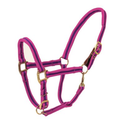 Aerborn Cushion Breakaway Halter Best Price