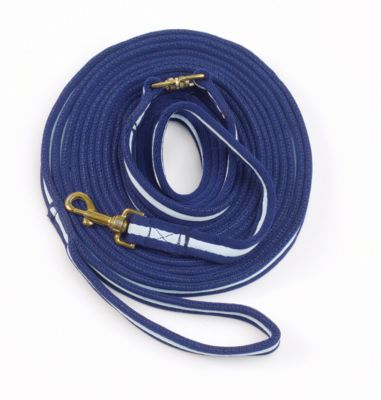 Aerborn Cushion Web Lunge Line with Swivel Snap Best Price