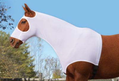 Centaur Lycra Mesh Full Mane Hood Best Price
