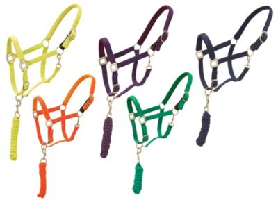 Centaur Breakaway Halter with Lead Set Best Price