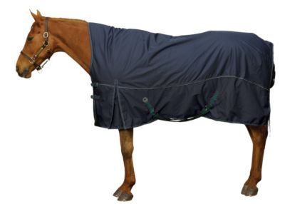 ER Centaur Ultra 600D Mid-Nck 300G TO Blnck Best Price