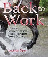 Back to Work By Lucinda Dyer
