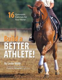 Building a Better Athlete-16 Exercises by Leslie Webb