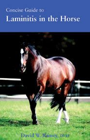Concise Guide to Laminitis in Horses by David W Ramey DVM