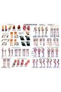 Conformation and Anatomy Chart by Susan Hakola