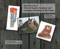 Equine Anatomy Volume 1 by Ronald Riegel