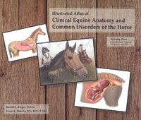 Equine Anatomy Volume 2 by Ronald Riegel