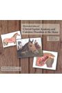 Equine Anatomy Volume 2 by Ronald Riegel