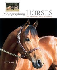 Photographing Horses by Leslie Grove