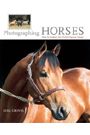 Photographing Horses by Leslie Grove