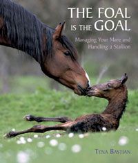 The Foal is the Goal By Tina Bastian