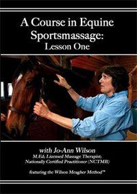 A Course In Equine Sportmassage DVD