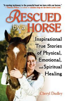 Rescued By A Horse by Cheryl Dudley Best Price