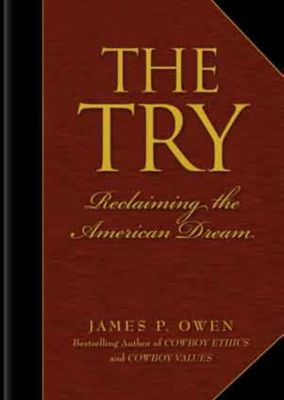 The Try by James P. Owen Best Price