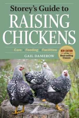 Storey's Guide to Raising Chickens by Gail Damerow Best Price