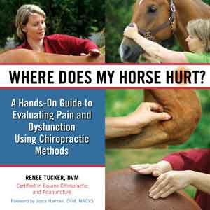 Where Does My Horse Hurt by Renee Tucker DVM Best Price