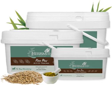 Herbsmith Equine Acute Trauma-Flax Plus Best Price