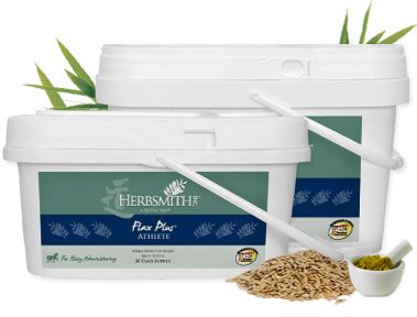 Herbsmith Equine Athlete-Flax Plus Best Price