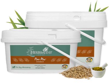 Herbsmith Equine Energy-Flax Plus Best Price