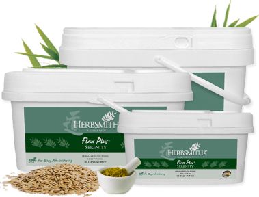 Herbsmith Equine Serenity-Flax Plus Best Price