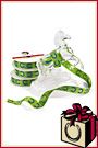 Horseshoe Gift Packaging Lucky You Green Taffeta Ribbon