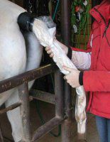 Horse Spa Tail Buckets Refill Bags
